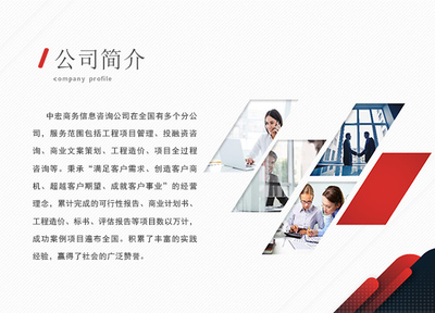 岳阳信息技术咨询服务项目策划与招商计划书